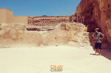 VOLVÉ CANSADO DE EUROPA